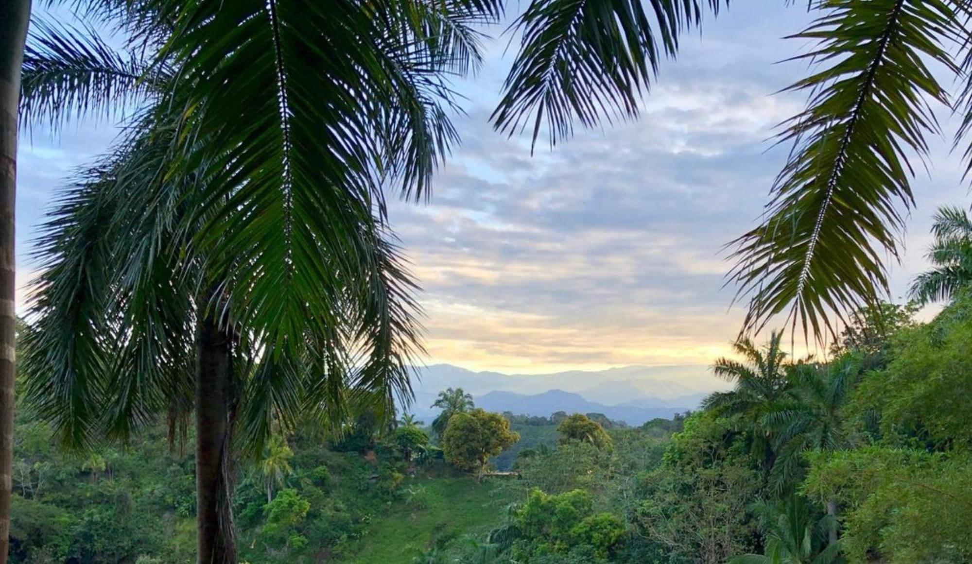 Boutique Hotel Las Cascadas マヌエル・アントニオ 部屋 写真