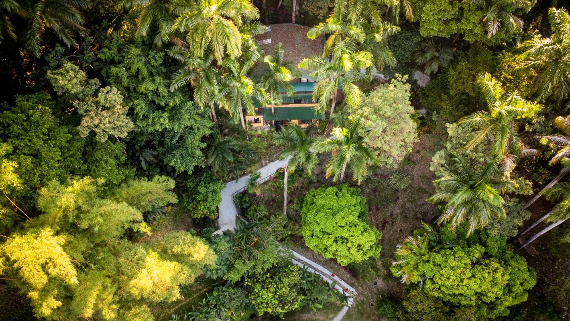 Boutique Hotel Las Cascadas マヌエル・アントニオ エクステリア 写真